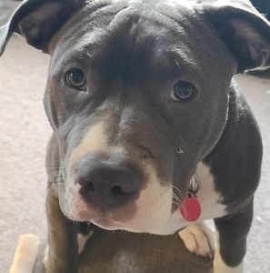 Meet your Posher, Tracey